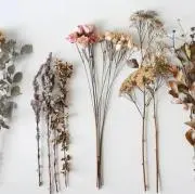 sの画像