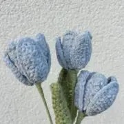 小豆の画像