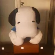 時東ジャパン