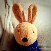 ローズマリー《プロフ読んでね》の画像