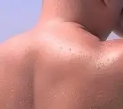かん太105の画像