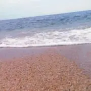 あの画像
