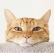 taka05の画像