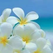 みぼぽん❀✿