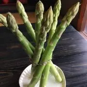 ゆきだるまの画像
