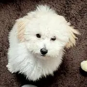 まろたん☆　プロフ必読の画像
