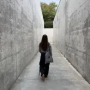 もちの画像