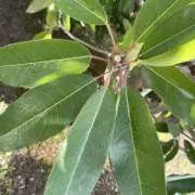 断捨離エコ配送☆の画像