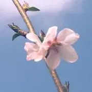 水波の画像