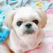 みりゅう♡