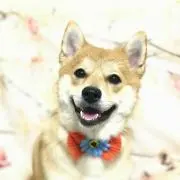 おり丸