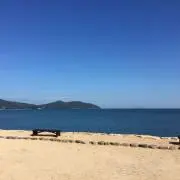 激レア 貴重 アンジェリーナジョリー Angelina Jolie 外国シート 激レア 貴重 アンジェリーナジョリー Angelina Jolie 外国シート