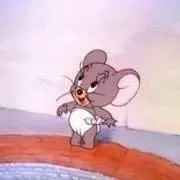 ぴの画像