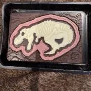 ルイの画像