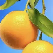 みかんの画像