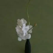 manamiの画像