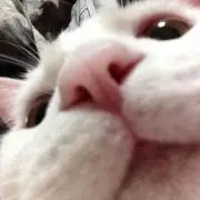 ばー