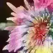 まりも☆うつわと雑貨の画像