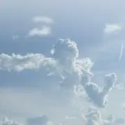 GAS