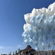 hcの画像