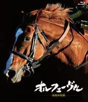 オルフェーヴルの画像