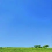 amilyの画像
