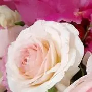 ローズ❤ギフト商品多数出品&春夏セール中の画像