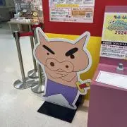 ぱぴこの画像