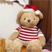 a.hの画像