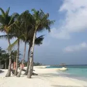 ぶーた