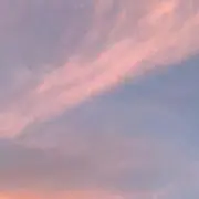 Rの画像