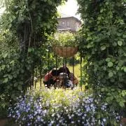 ゆきち