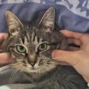 QpR_プロフ見てくださいの画像