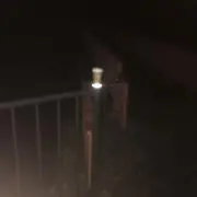 もろっこの画像