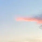 meiの画像