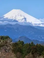 田邉晃司