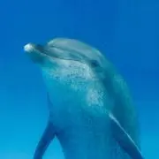 MINATOの画像