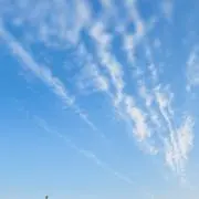 甘いとうもろこしの画像