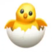 HIYOKOの画像