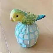 ルルコの画像