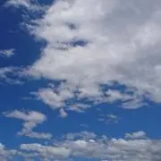 ちふぉの画像