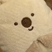 ふかの画像