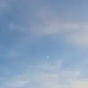 Mの画像