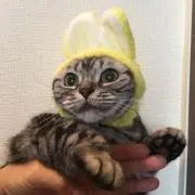 グーチャミ