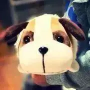 C.s