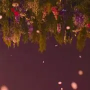 愛【8/14〜8/18まで発送不可】の画像