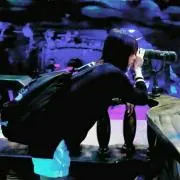 バンビの画像