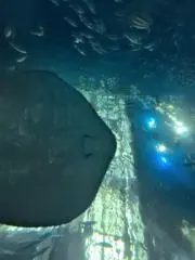 武田もこみちの画像