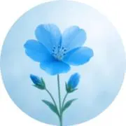 chakoの画像