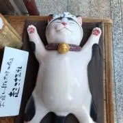 どんぐり